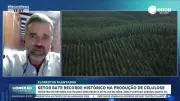 Setor de florestas plantadas bate recorde histórico na produção de celulose
