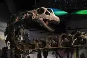 Tailândia descobre maior dinossauro do Sudeste Asiático