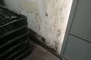 TCE flagra mofo, infiltração e forro caído em farmácias públicas
