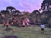 Temporal em São Joaquim: vento forte destelha casas e danifica pomares de maçã