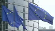 UE aceita análise da proteína de exportações brasileiras