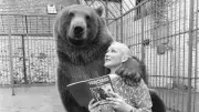 Urso de estimação que virou celebridade e estrela de filme de James Bond