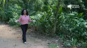 Vídeos do G1 e TV Bahia: Domingo, 10 de Maio de 2026