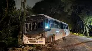 Vento forte derruba árvore sobre ônibus na ERS-409 em Vera Cruz e bloqueia rodovia