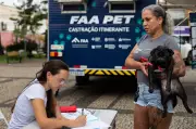 Volta Redonda abre 260 vagas para castração gratuita de cães e gatos