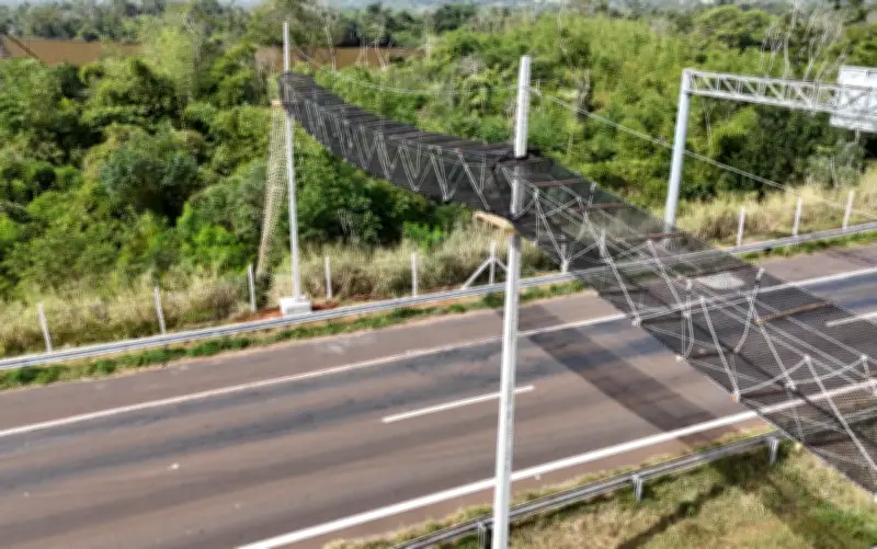 1ª passagem aérea para fauna na região de Ribeirão Preto, SP