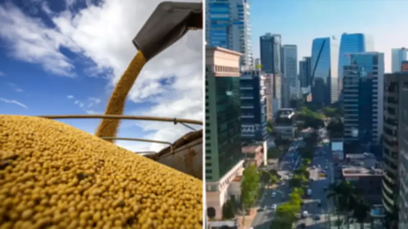 27 toneladas de soja com nota fiscal falsa da Faria Lima são apreendidas no PR