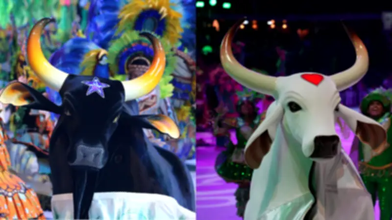 59º Festival de Parintins 2026: Caprichoso e Garantido abrem disputa com espetáculos