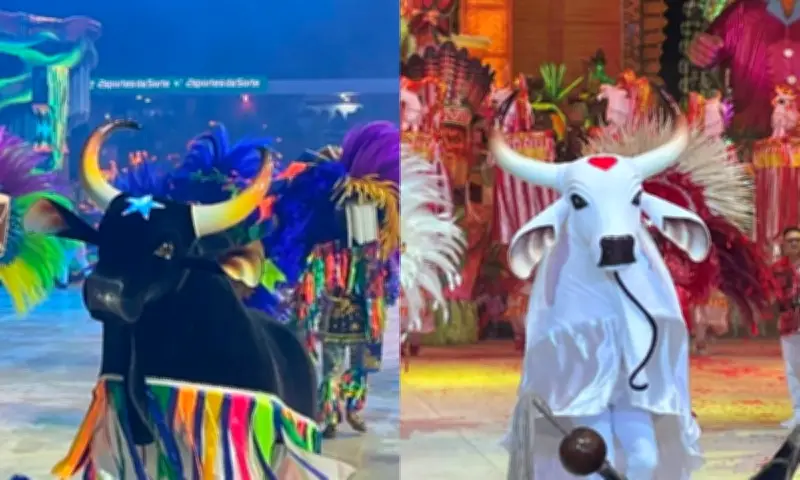 59º Festival de Parintins 2026: Caprichoso e Garantido na última noite