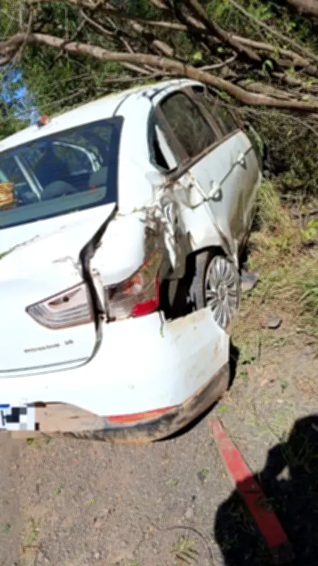 Acidente na MGC-122: motorista perde controle em lombada e bate em moto e árvore