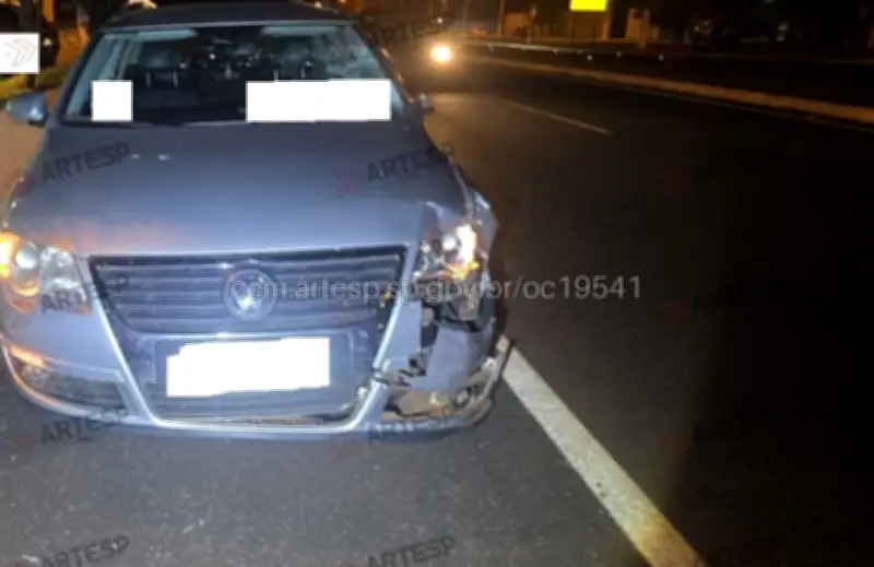 Adolescente de 12 anos morre atropelado em rodovia em Pontal