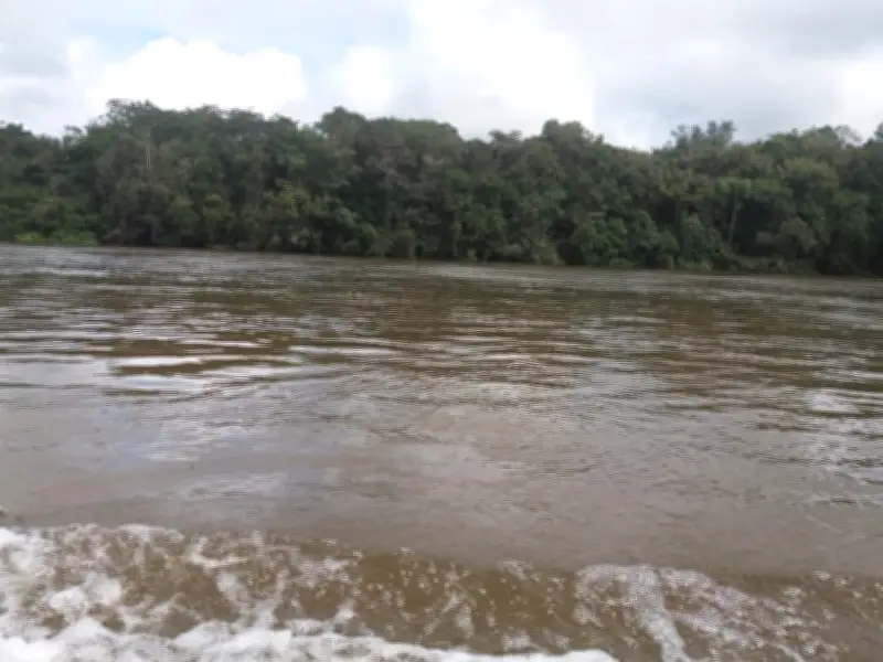 Adolescente de 13 anos desaparece após afogamento no Rio Arinos em MT