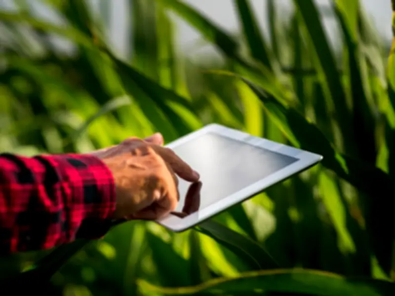 Agro 5.0 impulsiona tecnologia e estratégia no setor agrícola