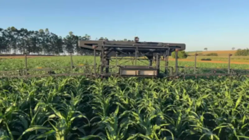 Agro 5.0: tecnologias reduzem erros e desperdício no campo