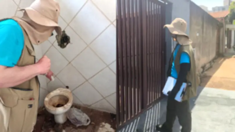 Alerta de dengue em Araraquara: índice de 3,2 acende sinal vermelho
