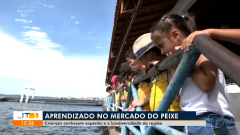 Alunos de Santarém aprendem sobre preservação ambiental em visita ao Mercado do Peixe