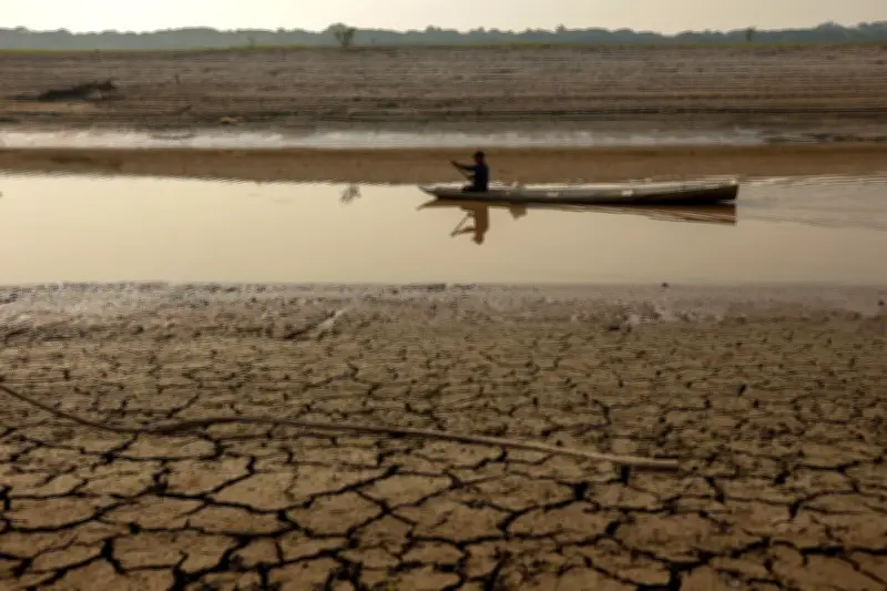 Amazônia recupera superfície de água em 2025, Pará lidera avanço