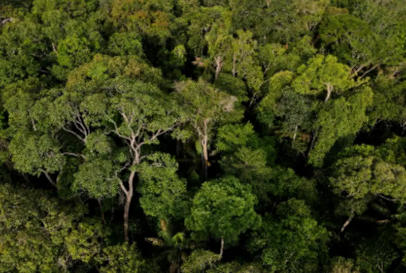 Amazonas: área protegida maior que Uruguai lidera conservação no Brasil