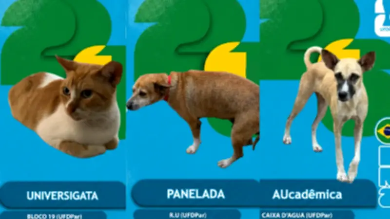 Animais de campus viram figurinhas da Copa para conscientizar estudantes