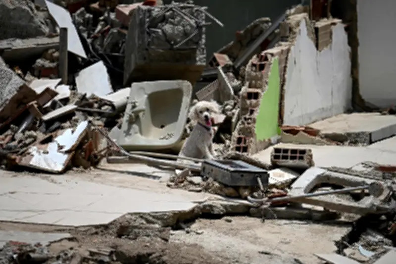 Animais não preveem terremotos, diz estudo com 130 espécies