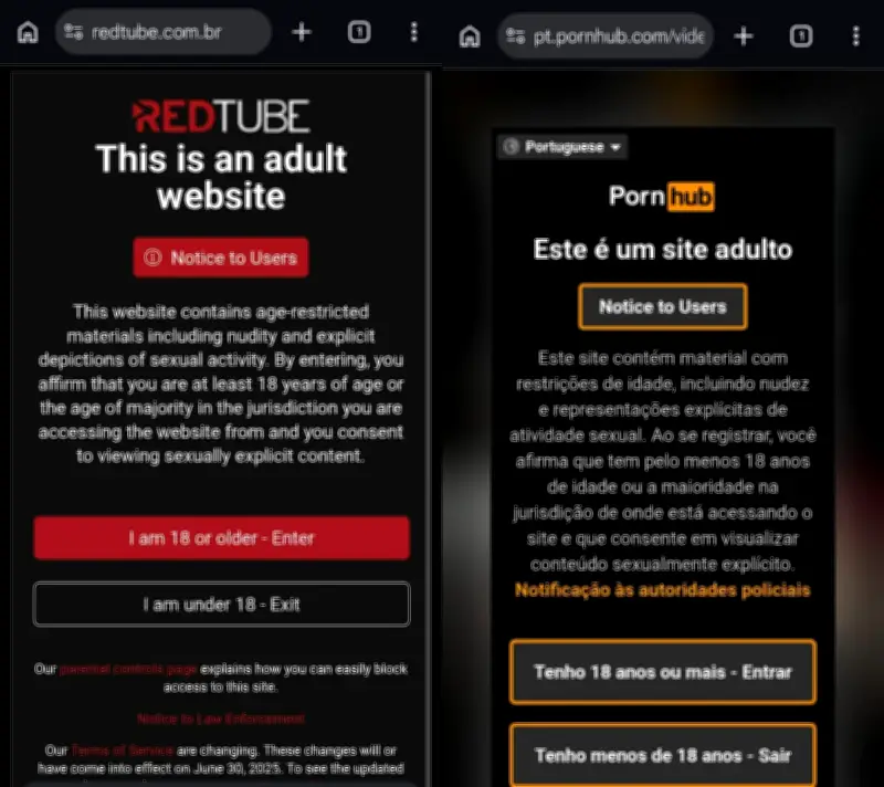 ANPD vai fiscalizar 18 sites pornôs para proteger crianças