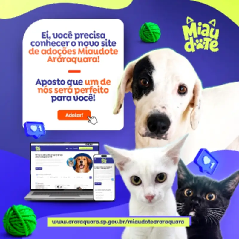 Araraquara lança primeiro site municipal de adoção de pets