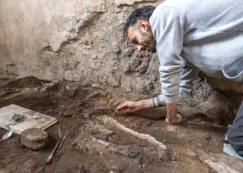 Arqueólogos encontram 'cavalos' mortos em padaria de Pompeia