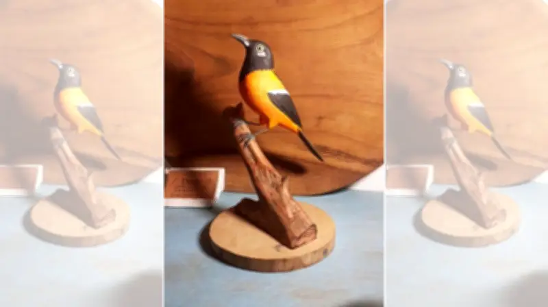 Artesão transforma madeira em aves e celebra a fauna brasileira