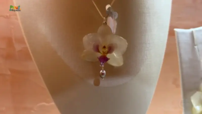 Artesãs do Piauí transformam flores do Cerrado em biojoias e cerâmica