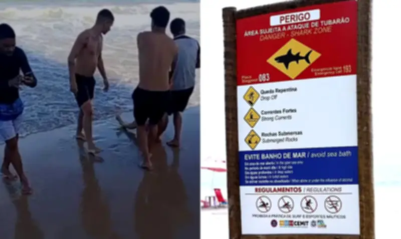 Ataque de tubarão em Recife: jovem perde perna na Praia de Boa Viagem