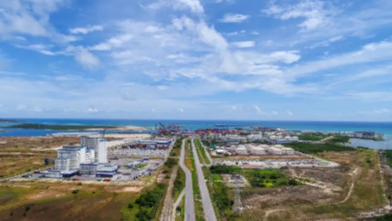 Aumento de ataques de tubarão é consequência da inauguração do Porto de Suape