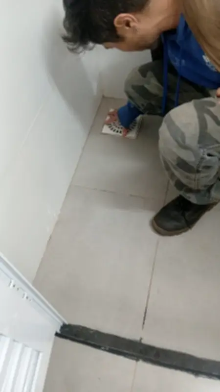Aumento de escorpiões em Araraquara: saiba como se proteger