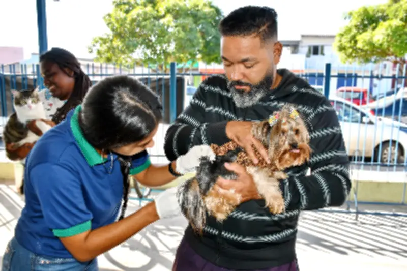 Barra do Piraí terá vacinação gratuita para cães e gatos em junho