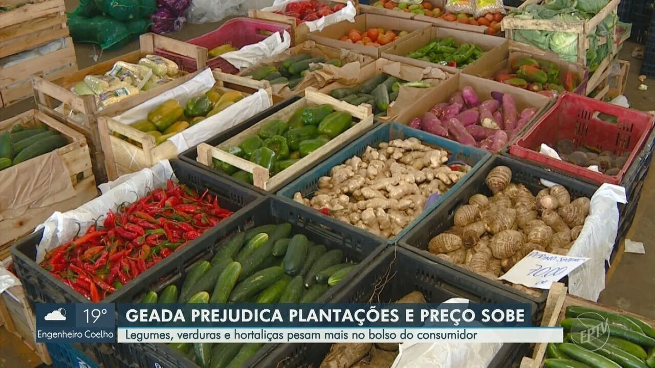 Frio severo e geadas aumentam em 20% os preços de verduras e legumes no Ceasa Campinas