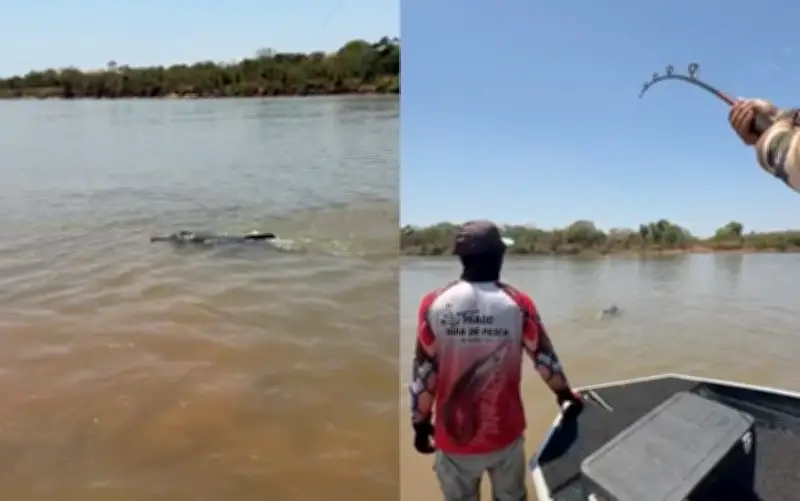 Boto é fisgado acidentalmente durante pesca esportiva no Rio Araguaia