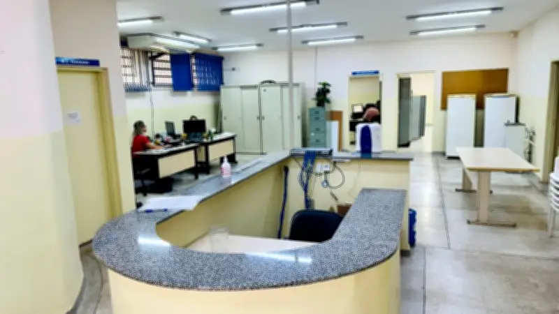Cachorro com esporotricose é registrado em Piracicaba; CCZ age