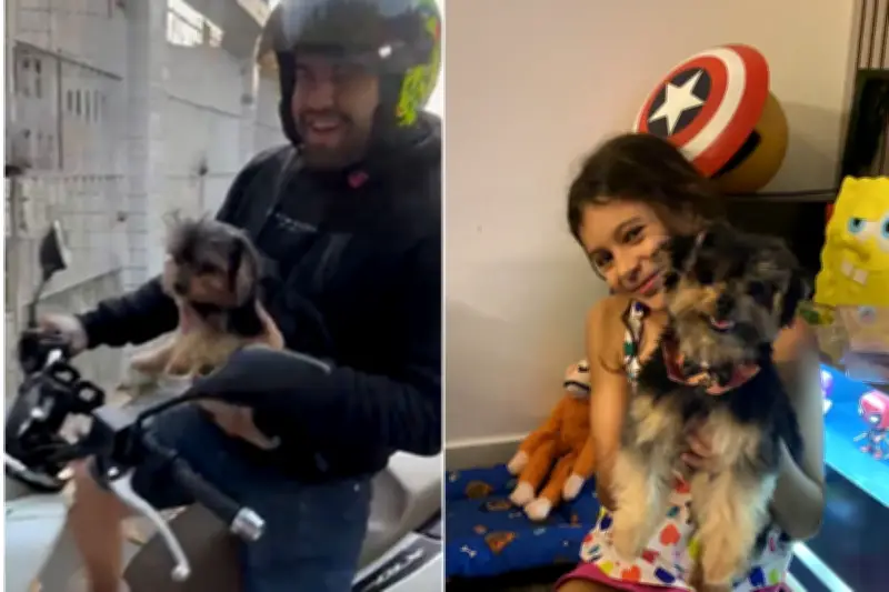 Cachorro furtado em São Vicente é devolvido à família após repercussão
