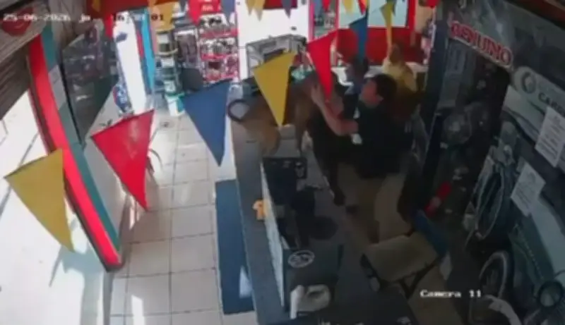 Cachorro pula em bancada ao comemorar gol do Equador na Copa; veja
