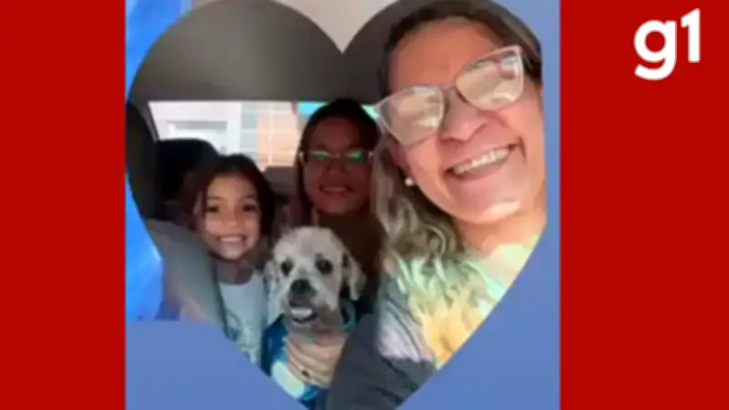 Cachorro queimado em pet shop clandestino em Cuiabá recebe alta após 44 dias