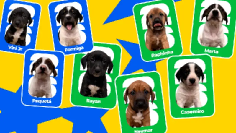 Campanha de adoção de cães usa nomes de jogadores da Seleção em SP