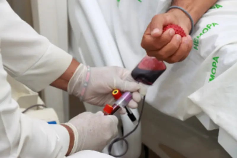 Campanha em Óbidos coleta 179 bolsas de sangue e reforça estoques do Hemopa