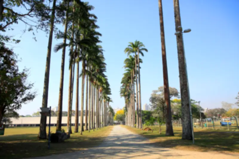 Campos do Jordão amanhece com geada e semana tem tempo seco e calor