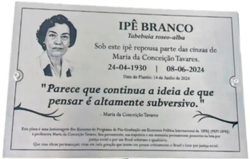 Campus da UFRJ na Praia Vermelha homenageará Maria da Conceição Tavares