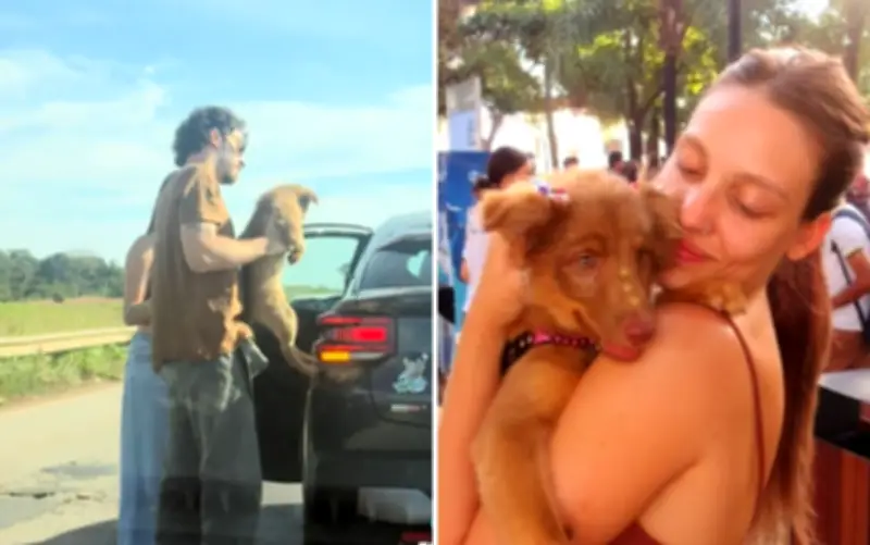 Casal salva cadelinha de atropelamento e adota animal; vídeo emociona