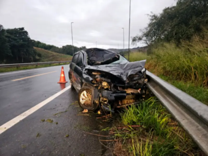 Cavalo morre atropelado por carro na BR-393 em Barra do Piraí