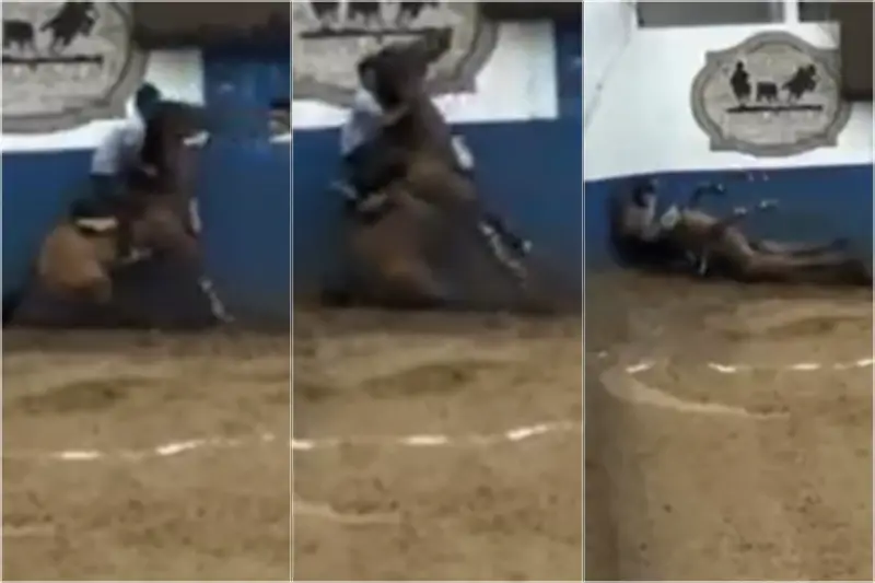 Cavalo morre durante vaquejada em Caicó, no RN