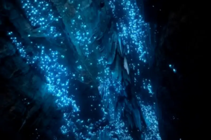 Cavernas de Waitomo: céu estrelado subterrâneo na Nova Zelândia
