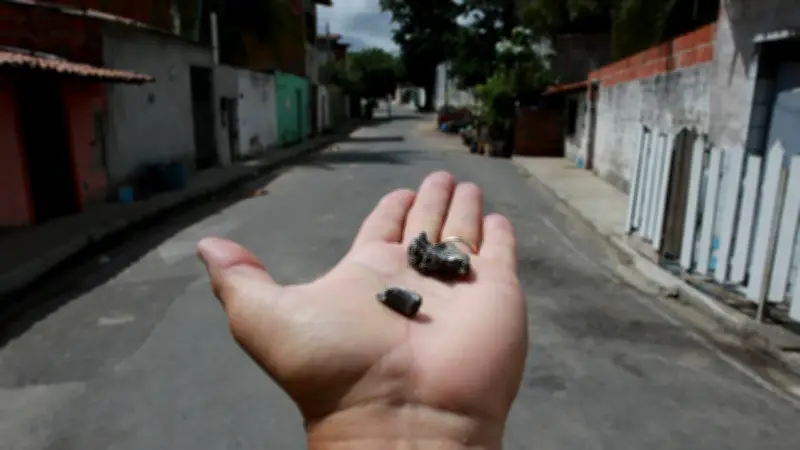 Ceará reduz mortes violentas em 48,7% em maio de 2026