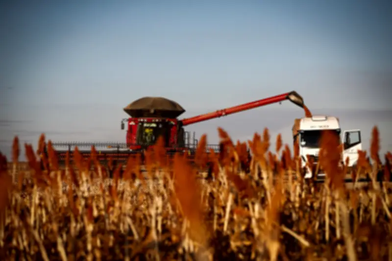 Centro-Oeste lidera crescimento do PIB desde 2002, impulsionado pelo agro