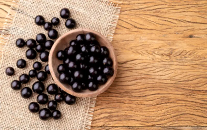 Chá de casca de jabuticaba: receita fácil e benefícios para a saúde